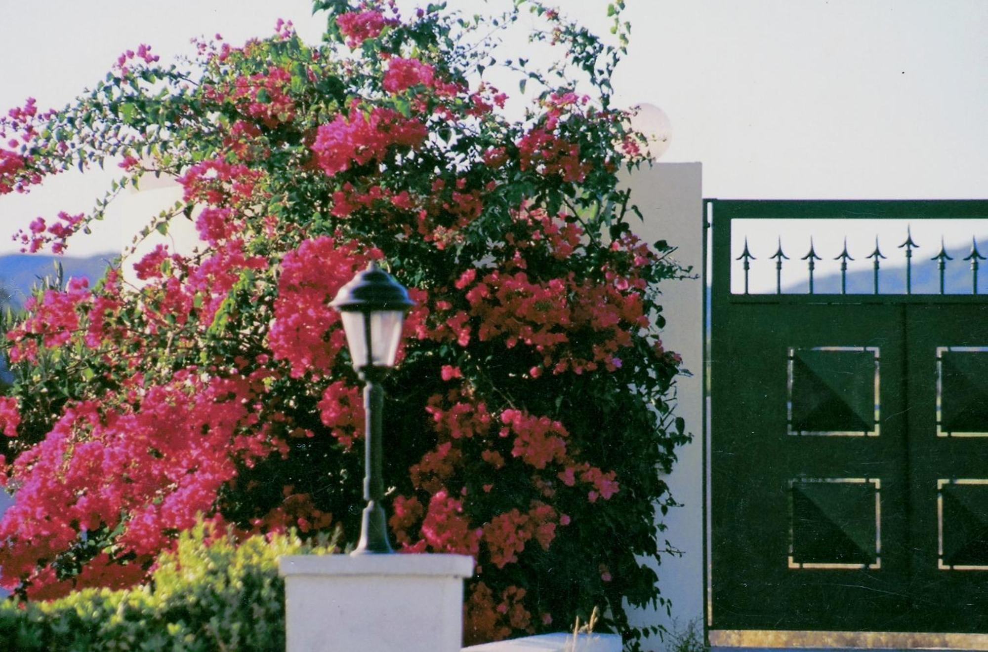Beachfront Villa Rhodes Seashell Γεννάδι Εξωτερικό φωτογραφία